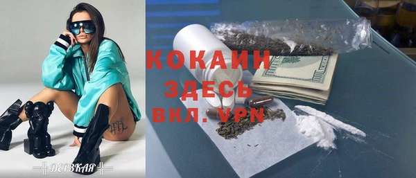 шишки Куйбышев