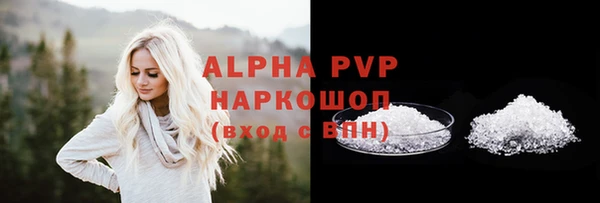 стафф Алексин