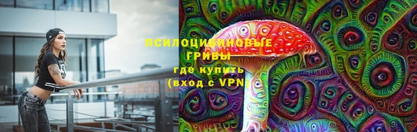 прущая мука Алзамай