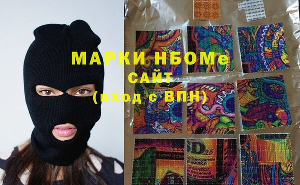 стафф Алексин