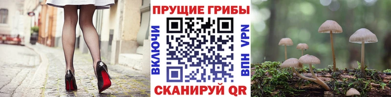 мега маркетплейс  Ноябрьск  Псилоцибиновые грибы Psilocybine cubensis 